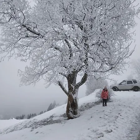 Апартаменты Bonny *