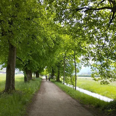 Апартаменты Bonny